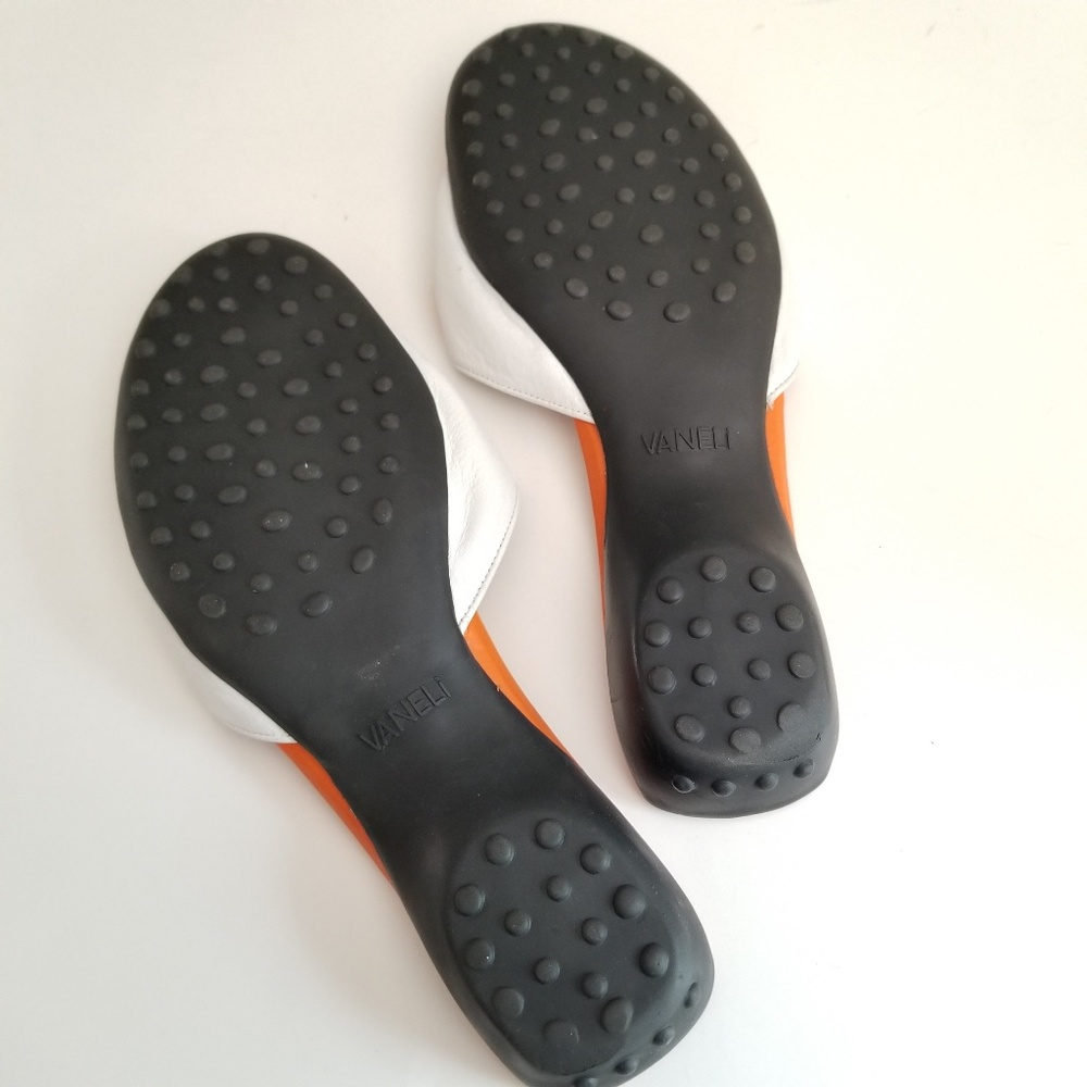 VanEli Slides - Picture 4 of 4